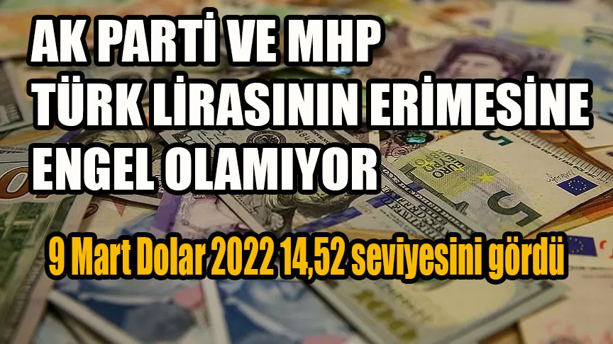 9 Mart Dolar 2022