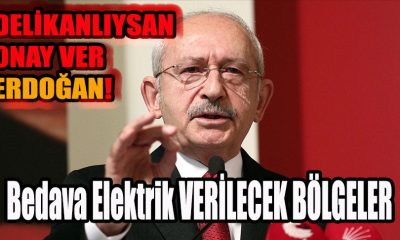 Kemal Kılıçdaroğlu Diyarbakır,Şanlıurfa,Batman,Mardin,Siirt,Şırnak Bedava Elektik sözü! Erdoğan delikanlıysan onay ver