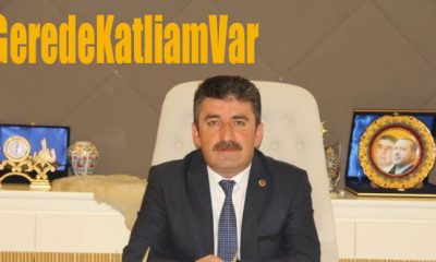 Sosyal Medyanın Gündemi #GeredeKatliamVar! Gerede Belediyesi açıklama yapacak mı?