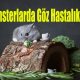 Hamsterlarda Göz Hastalıkları