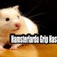 Hamsterlarda Grip Hastalığı