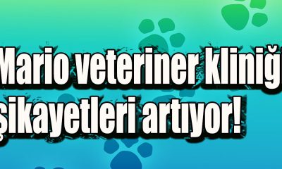 Mario veteriner kliniği şikayetleri artıyor!