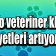 Mario veteriner kliniği şikayetleri artıyor!