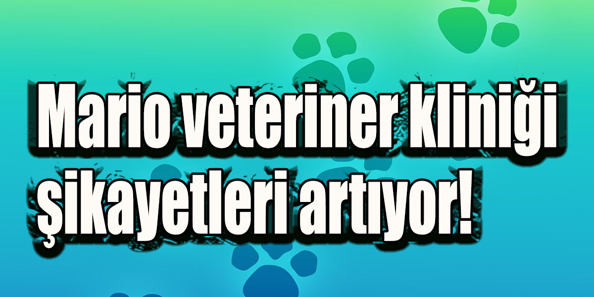 Mario veteriner kliniği şikayetleri artıyor!