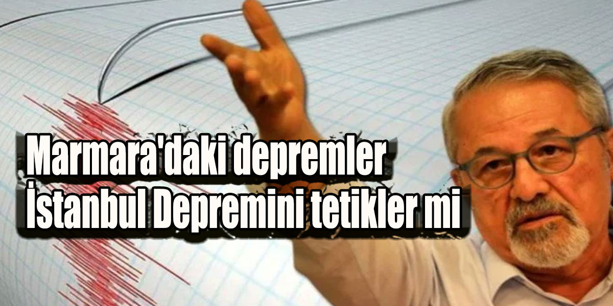 Prof. Dr. Naci Görür: Marmara'daki depremler İstanbul Depremini tetikler mi?