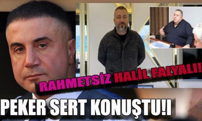 Sedat Peker Halil Falyalı ile tanışmak istedi