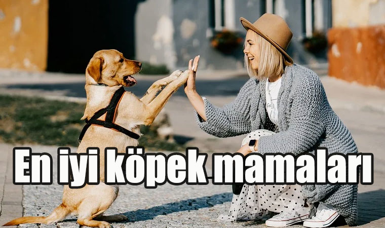 En iyi köpek mamaları