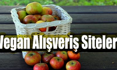 Vegan Alışveriş Siteleri