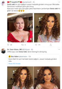 deniz seki estetik