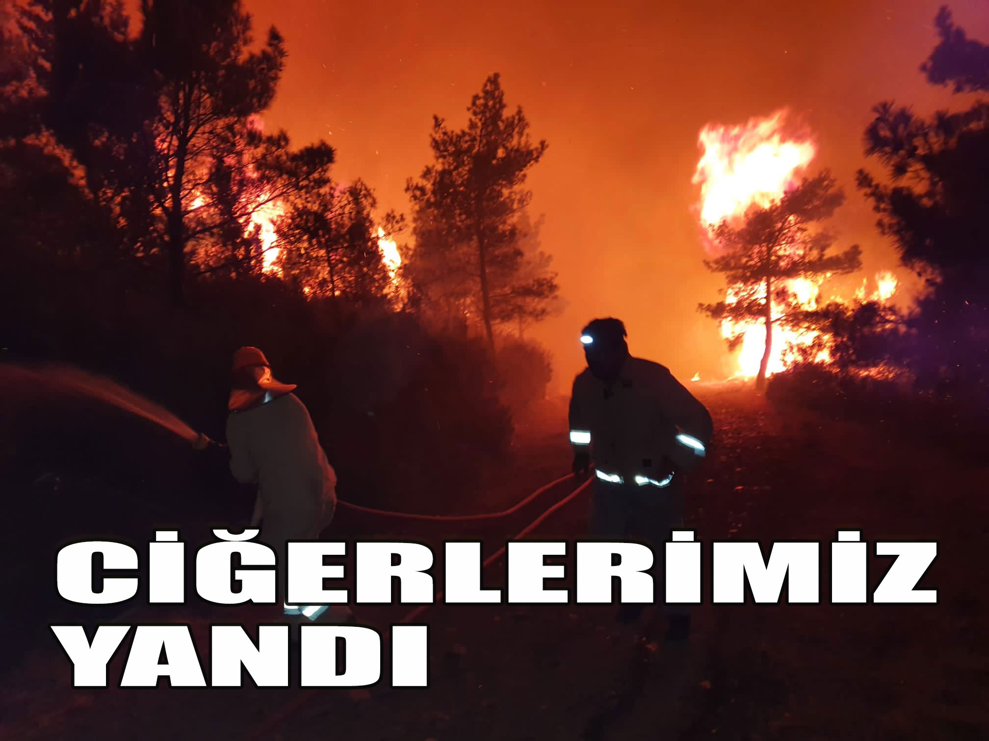 Marmaris’te orman yangını, Trol hesaplar ise gündemi değiştirme peşinde!