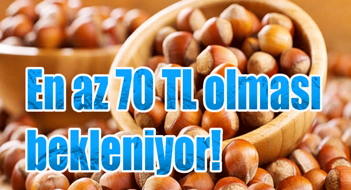 Fındık Fiyatları ne olacak? En az 70 TL olması bekleniyor!