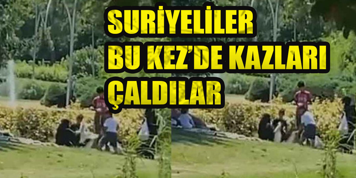 İstanbul Bahçeşehir'de Suriyeli oldukları öne sürülen iki kadın Bahçeşehir Gölet Parkı'ndaki kazları çaldı