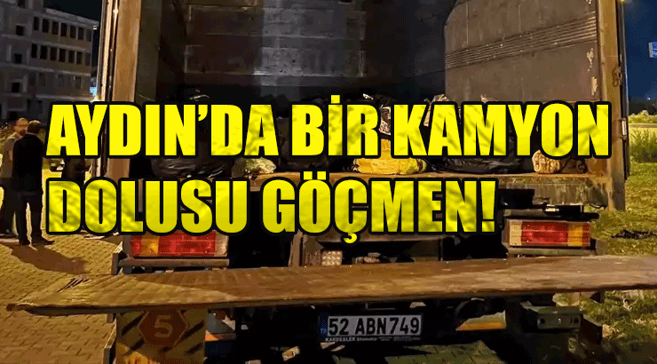 Aydın’ın Söke'de bir kamyon dolusu düzensiz göçmen!