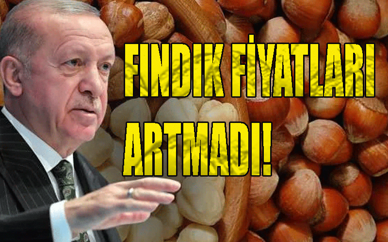 Fındık fiyatları artacak mı?