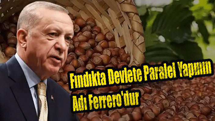 Fındıkta Devlete Paralel Yapının Adı Ferrero'dur