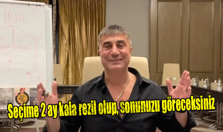 Reis Sedat Peker; Seçime 2 ay kala rezil olup, sonunuzu göreceksiniz