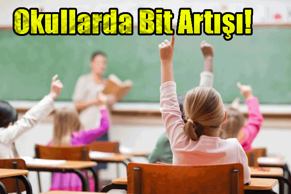 Okullarda Bit Artışı!