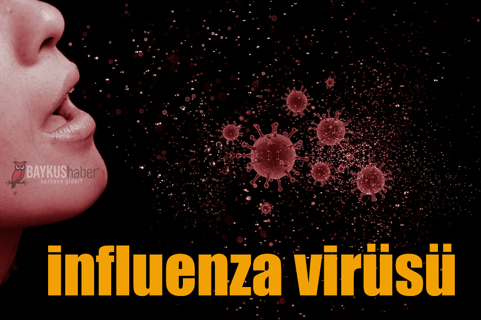 influenza virüsü nedir, Bulaşıcı mı belirtileri nelerdir?