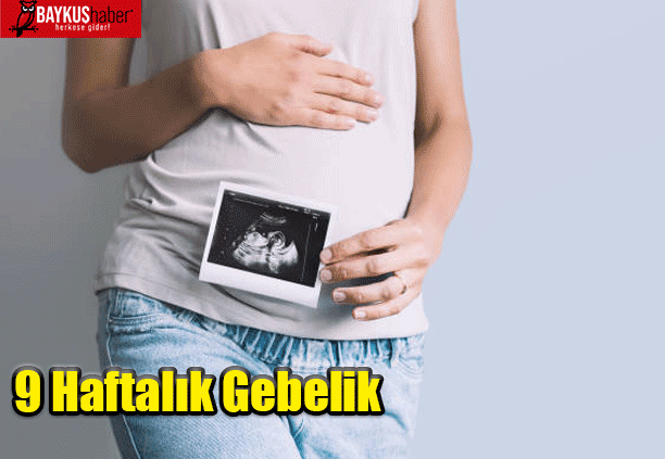 9 Haftalık Gebelik