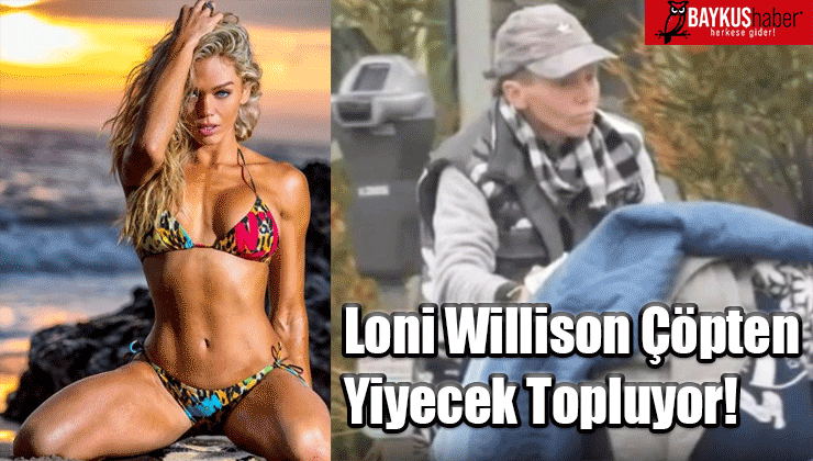 Loni Willison