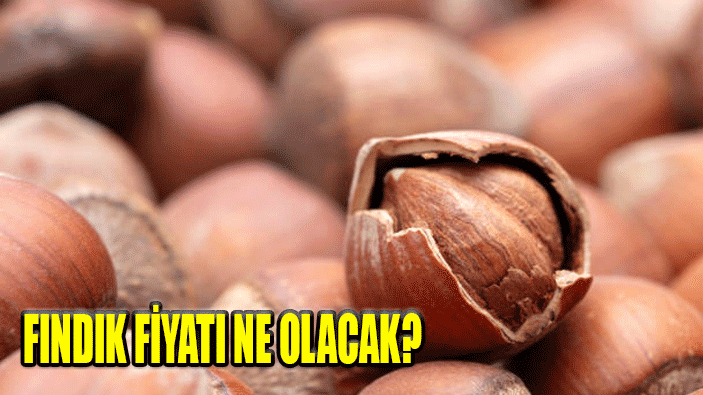 Fındık Fiyatı Ne Olacak Açıklandı mı?