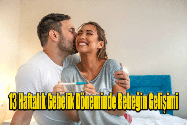 13 Haftalık Gebelik Döneminde Bebeğin Gelişimi