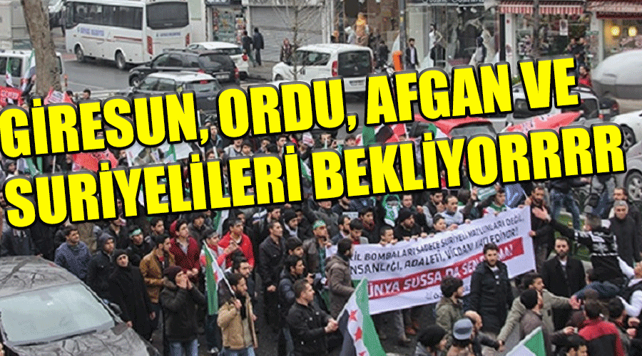 Giresun, Ordu 'da Fındık işçileri ya Afgan Yada Suriyeli!