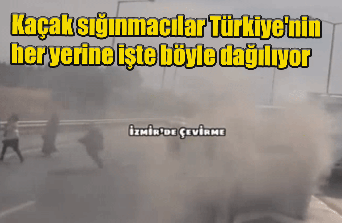 İzmir'de Kaçak göçmenler