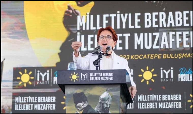 Meral Akşener, Devlet Bahçeli