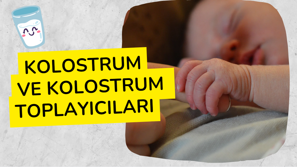 Kolostrum ve Kolostrum Toplayıcıları: Yeni Doğanların Sağlıklı Başlangıcı