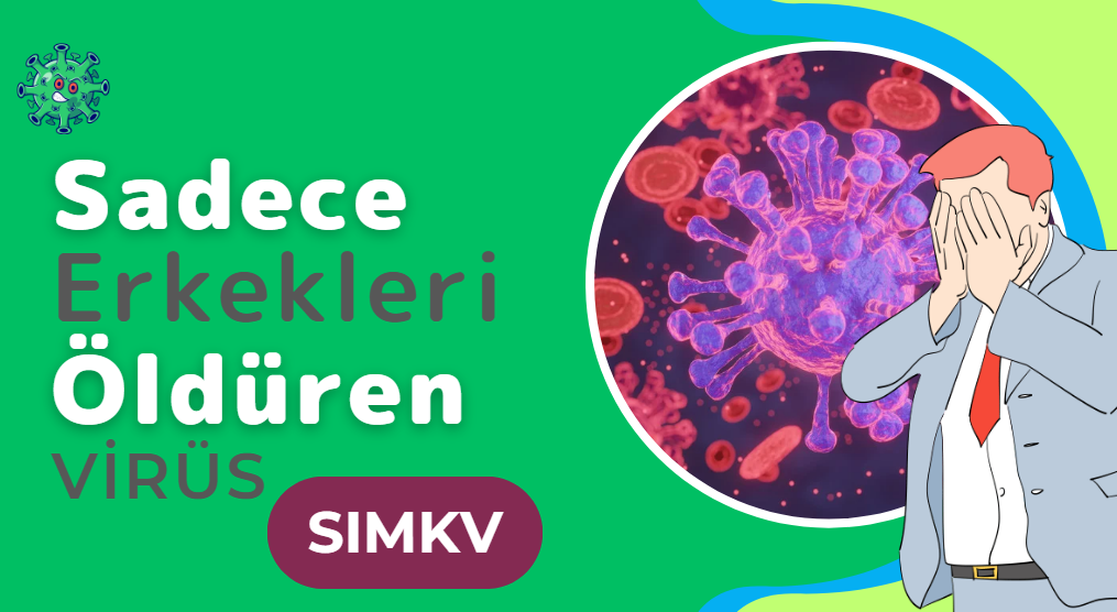 Sadece Erkekleri Öldüren Virüs: SIMKV