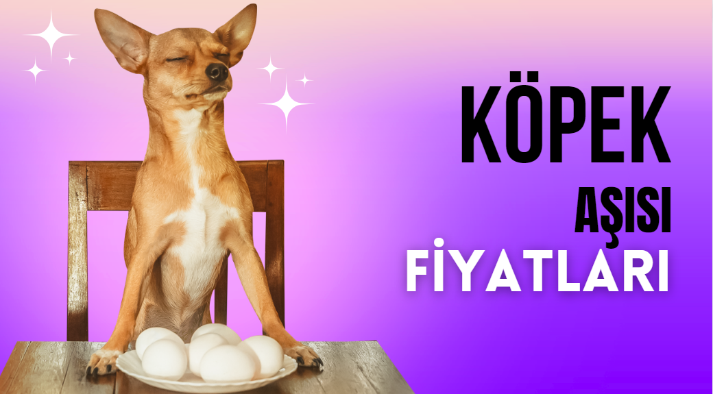 Köpek Aşısı Fiyatları 2023 - 2024