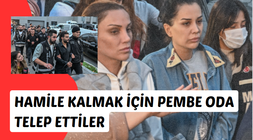 Engin Polat, Dilan Polat'la görüşmek için Pembe Oda talebinde bulundu, Hamile mi Kalacak?