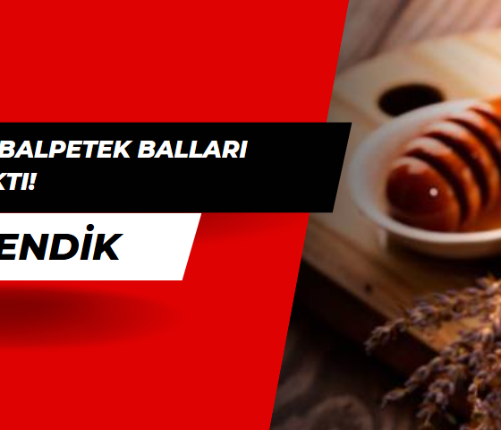 Abalı ve Balpetek Balları Sahte Çıktı!