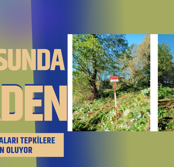 Giresun’da Maden Arama Sahaları Tepkilere Neden Oluyor