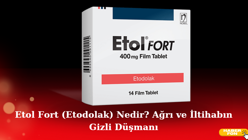 Etol Fort nedir