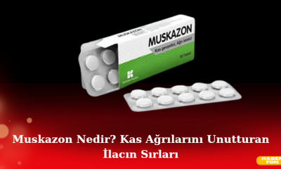 Muskazon Nedir